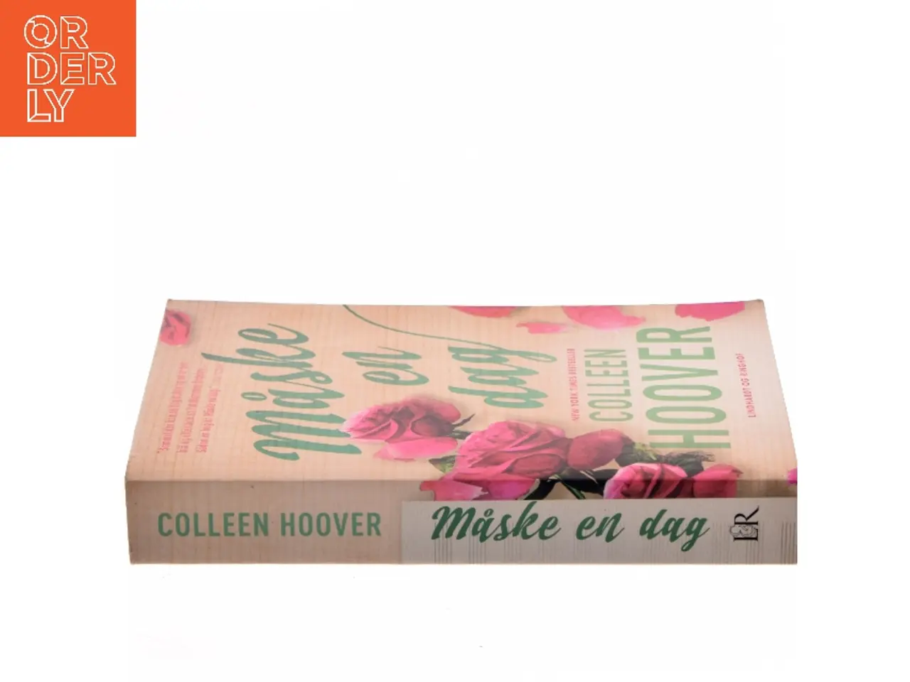 Billede 2 - Måske en dag af Colleen Hoover (Bog)
