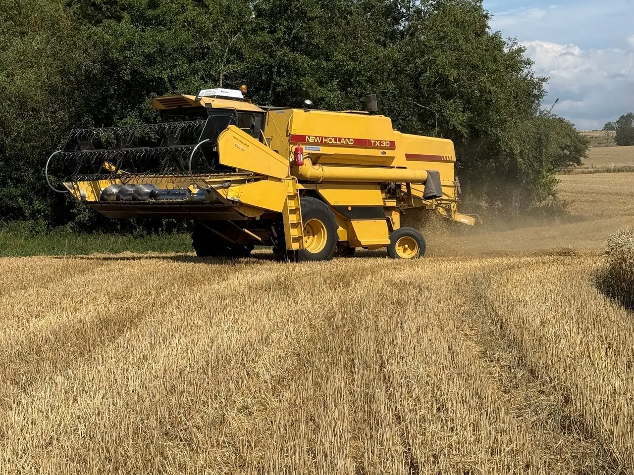 Billede 7 - New Holland TX30 Mejetærsker