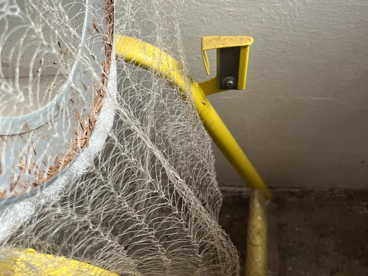 Billede 4 - Netpakker til juletræer med net 