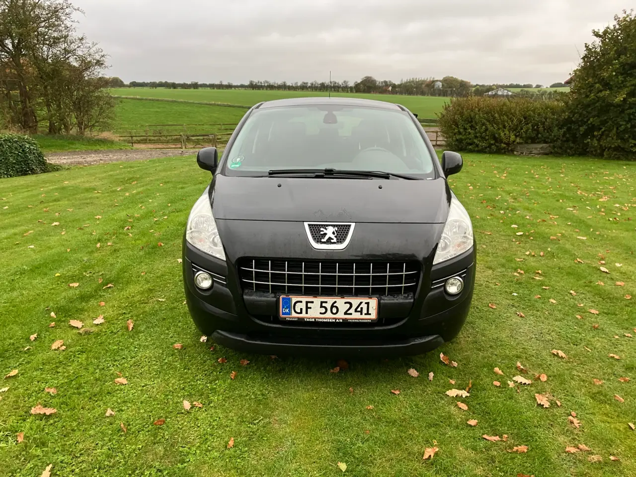 Billede 1 - Peugeot 3008 e-hdi automatgear