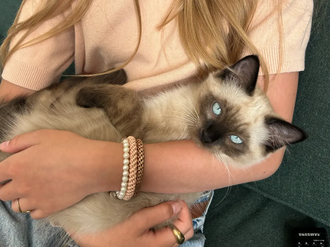 Billede 5 - Ragdoll killing❤️ 1 killing tilbage