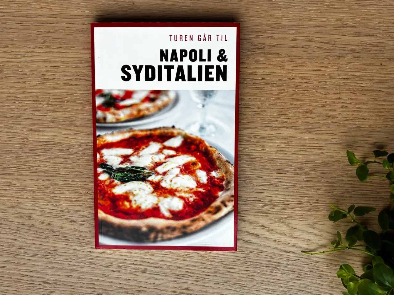 Billede 1 - Turen går til NAPOLI & SYDITALIEN