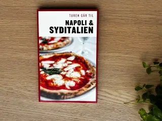 Turen går til NAPOLI & SYDITALIEN