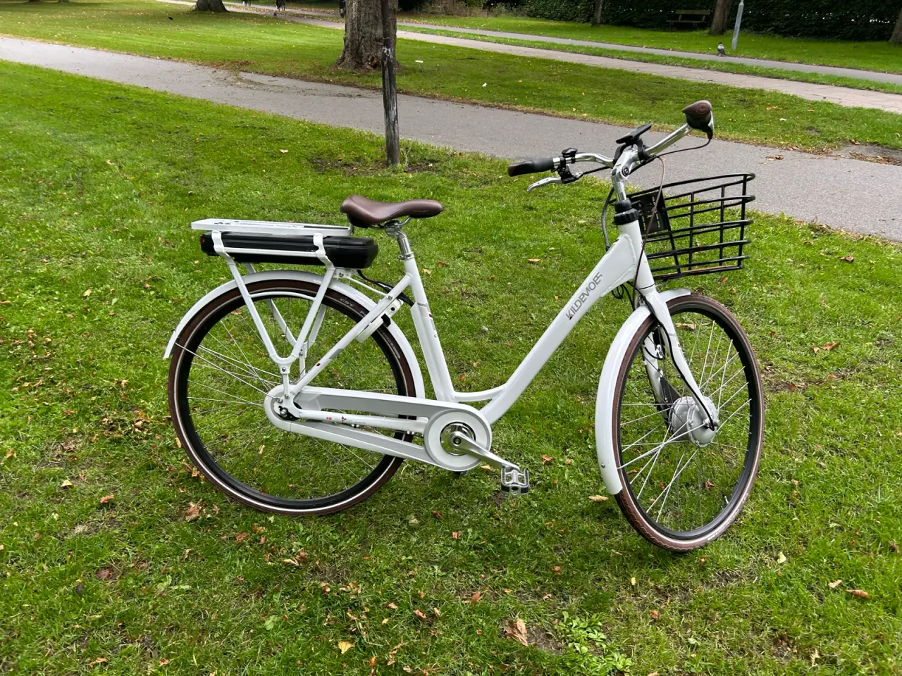 Billede 8 - Kildemoes el damecykel