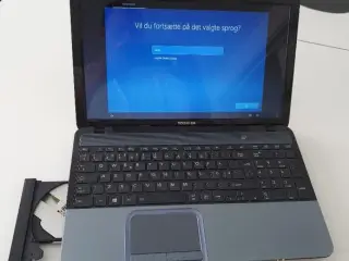 Toshiba Satellite L855D-100