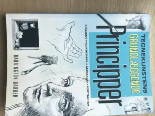 Tegnekunstens Grundlæggende Principper