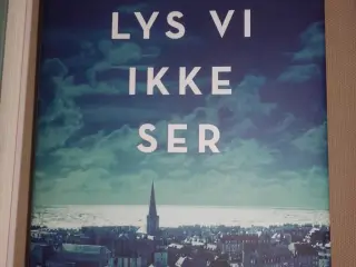 Alt det lys vi ikke ser - roman Af Anthony D