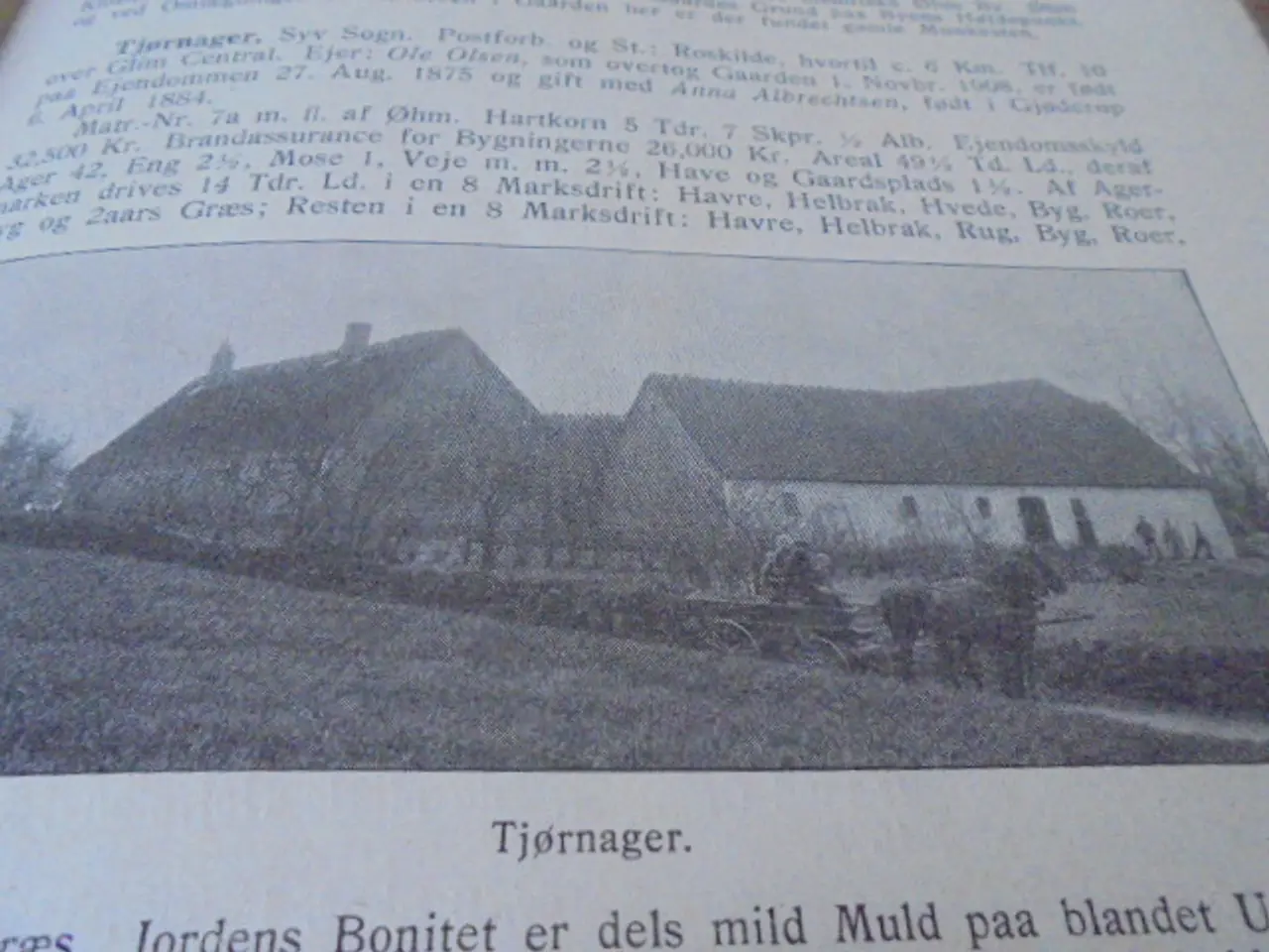 Billede 5 - Gamle Gaarde – III Samling – stort værk fra 1915