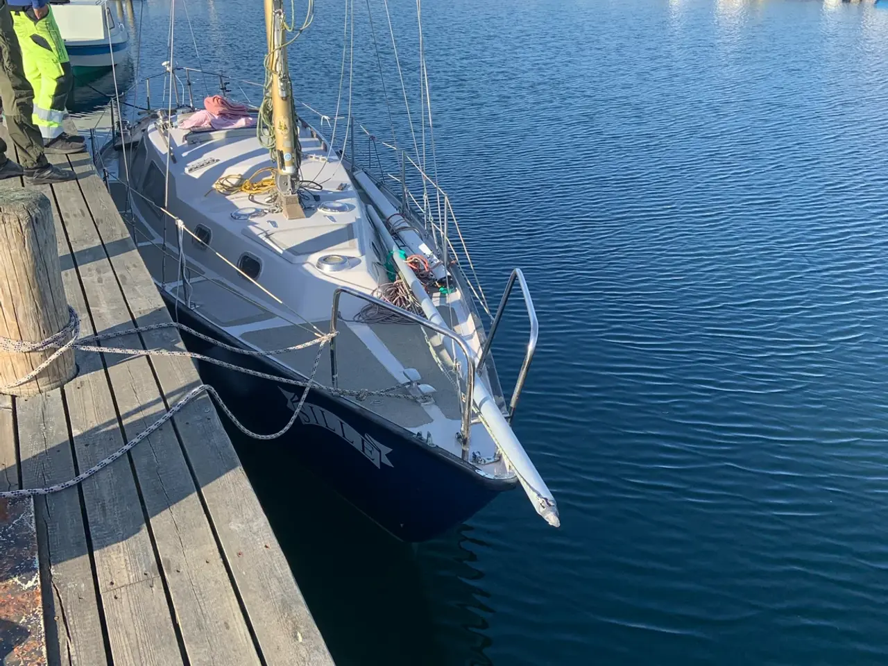 Billede 1 - Nordisk snekke