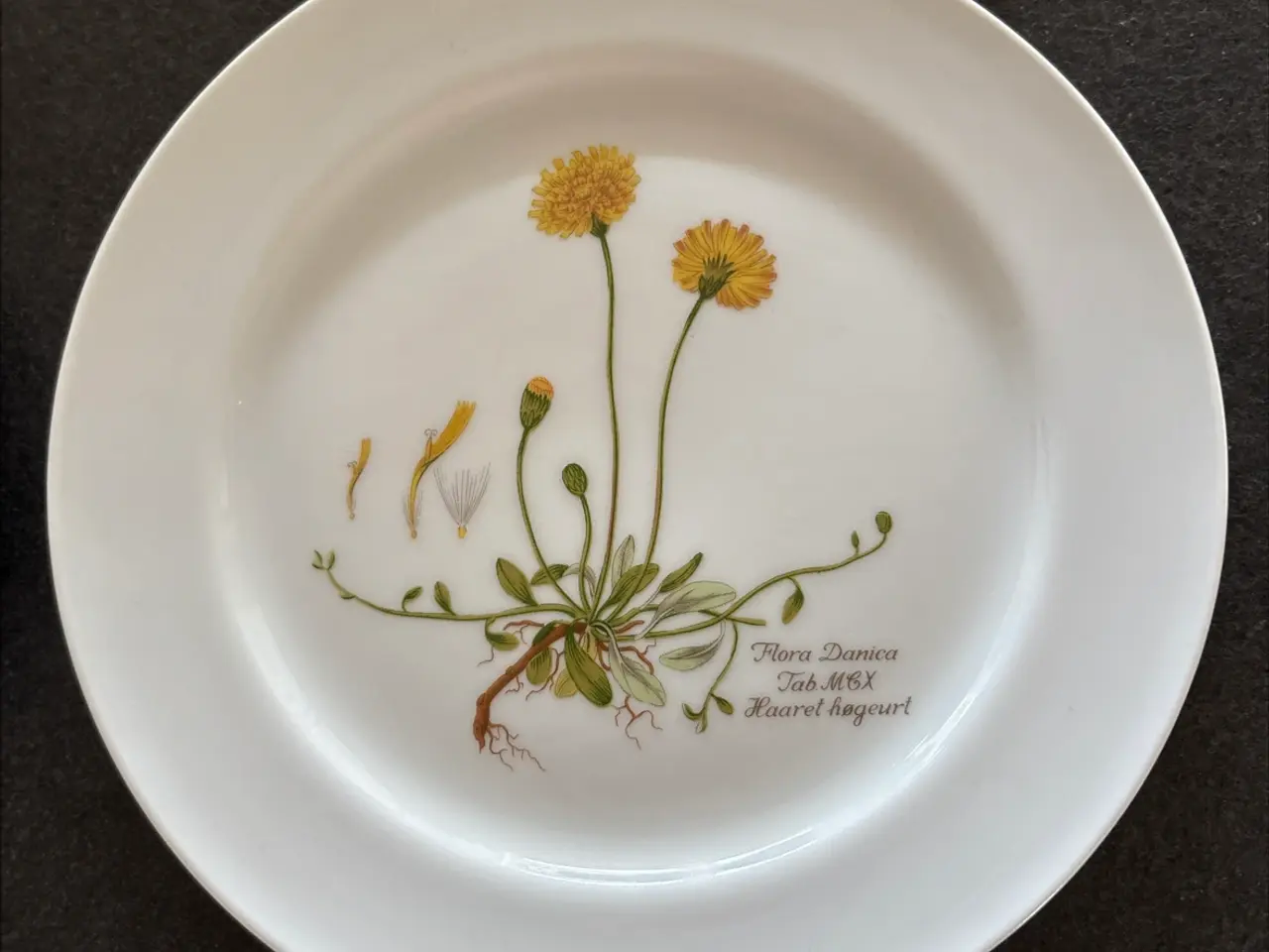 Billede 5 - Flora Danica/Faxe platter sælges