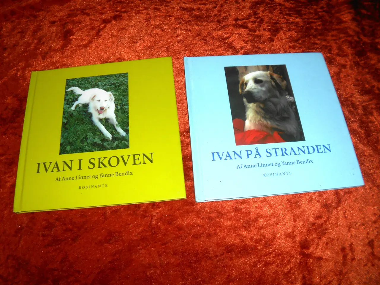 Billede 1 - Ivan, Anne Linnet, 