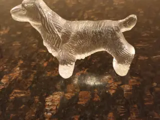 Glas Cocker spaniel.