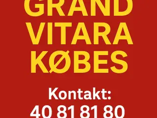 Grand Vitara købes