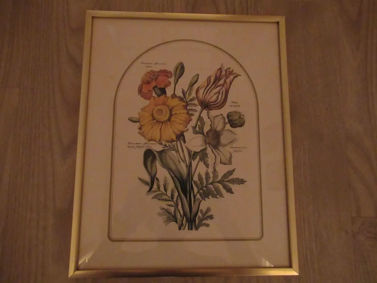Billede 5 - Blomsterbilleder 