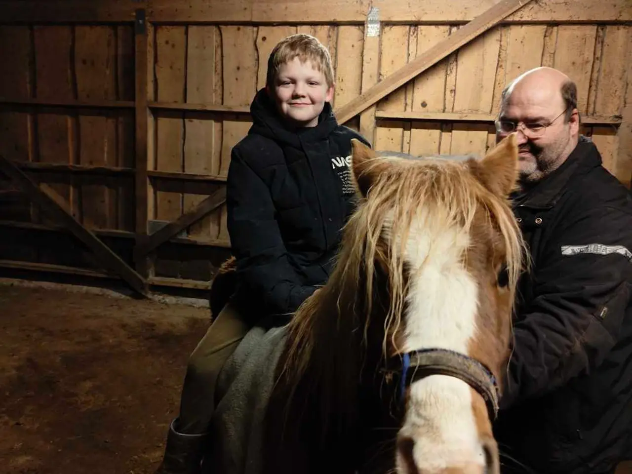 Billede 2 - Welsh pony vallak