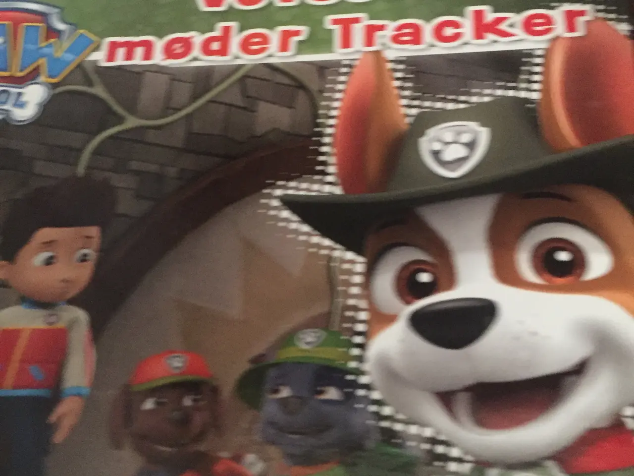Billede 4 - Nickelodeon bøger forskellige