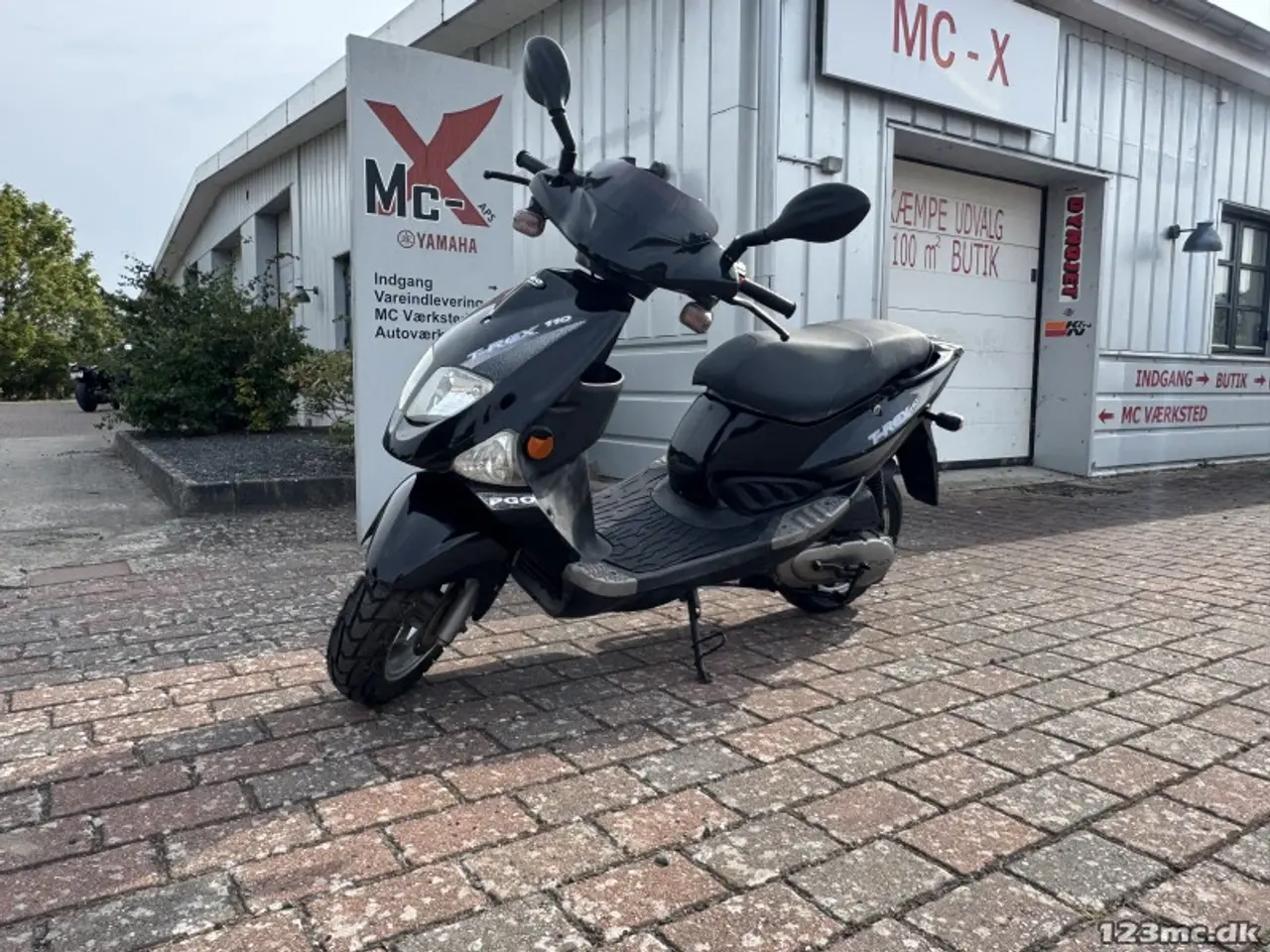 Billede 1 - PGO T-Rex 110