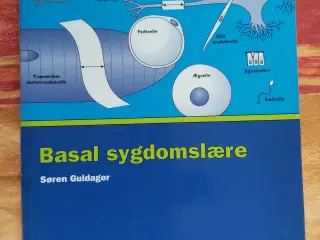 Sygepleje - super tilbud