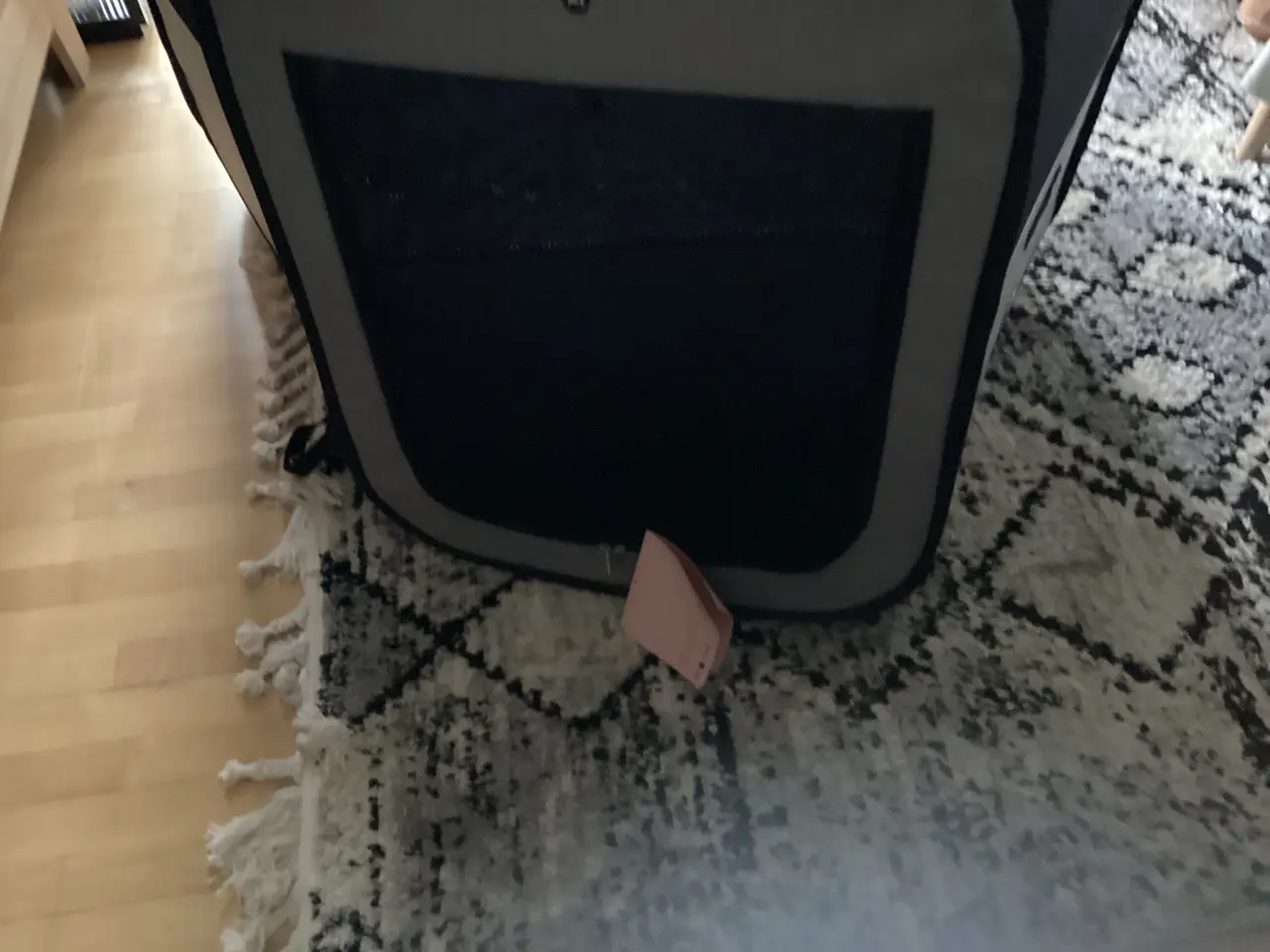 Billede 5 - Hvalpegård 143 ø og 76 cm høj