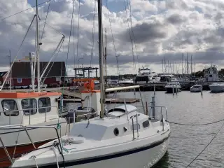 Westerly Cirrus