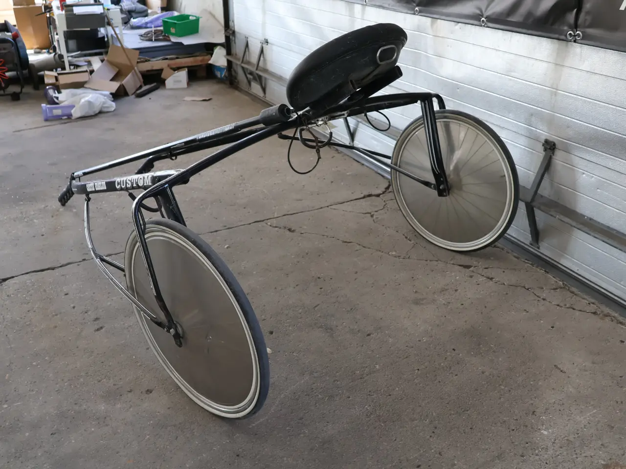 Billede 8 - Custom 165 Finntrack crosset sulky.