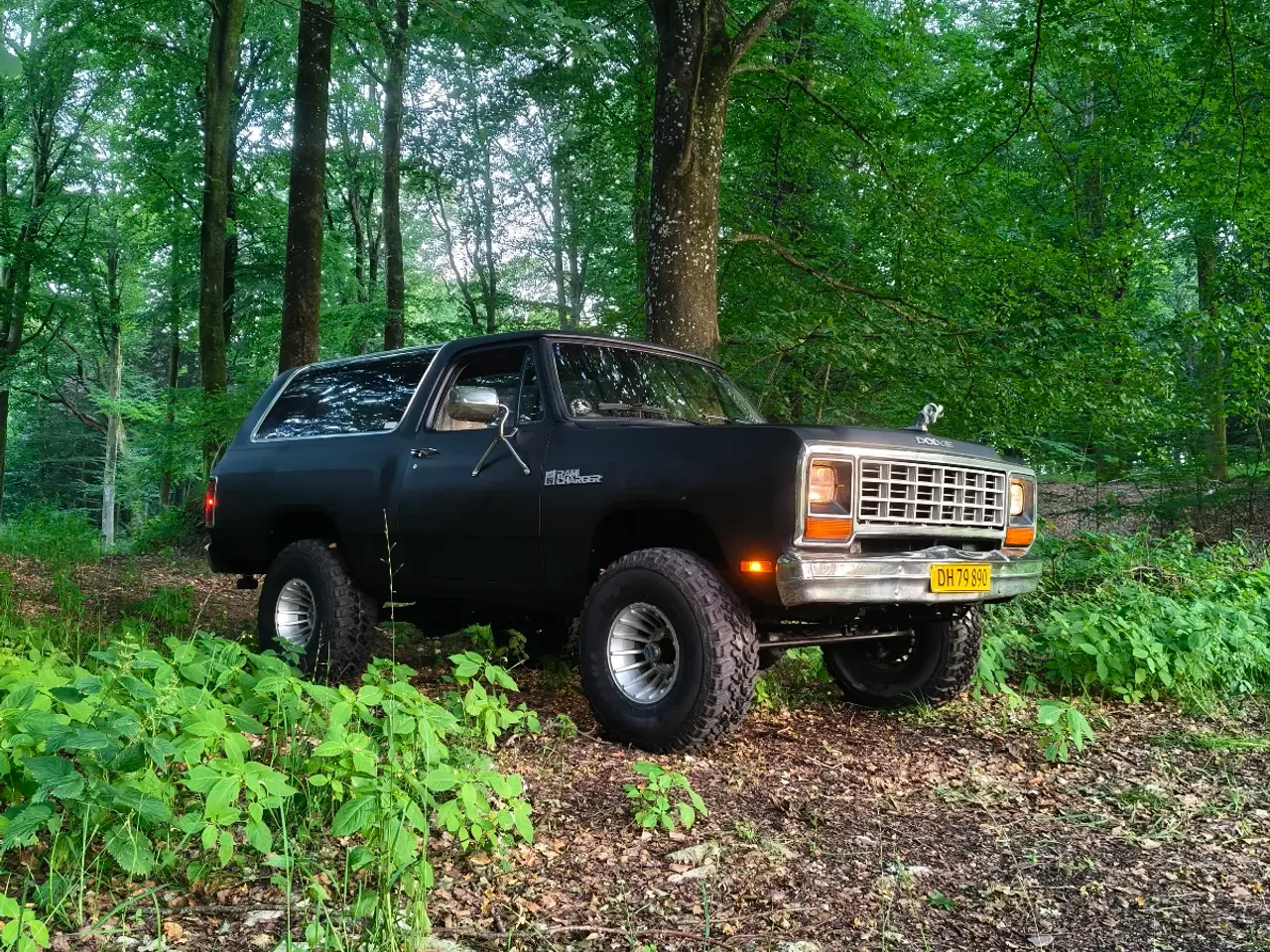 Billede 9 - Dodge Ramcharger