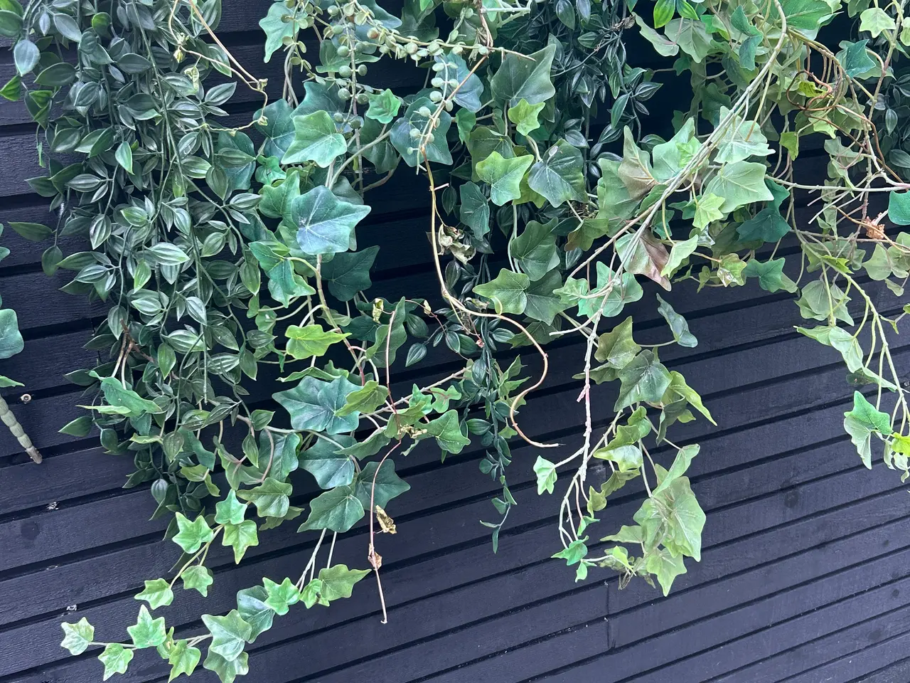 Billede 2 - 18 kunstige planter