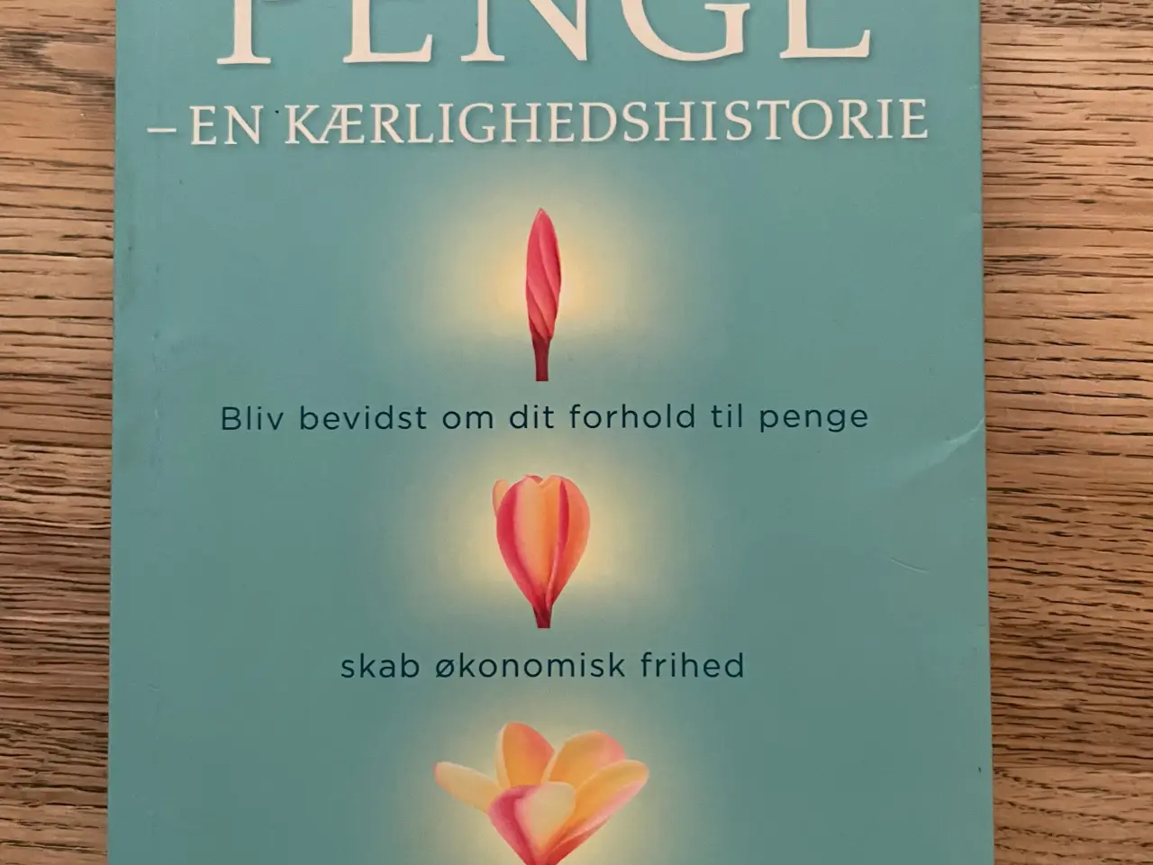 Billede 1 - Penge - En kærlighedshistorie, Kate Northrup