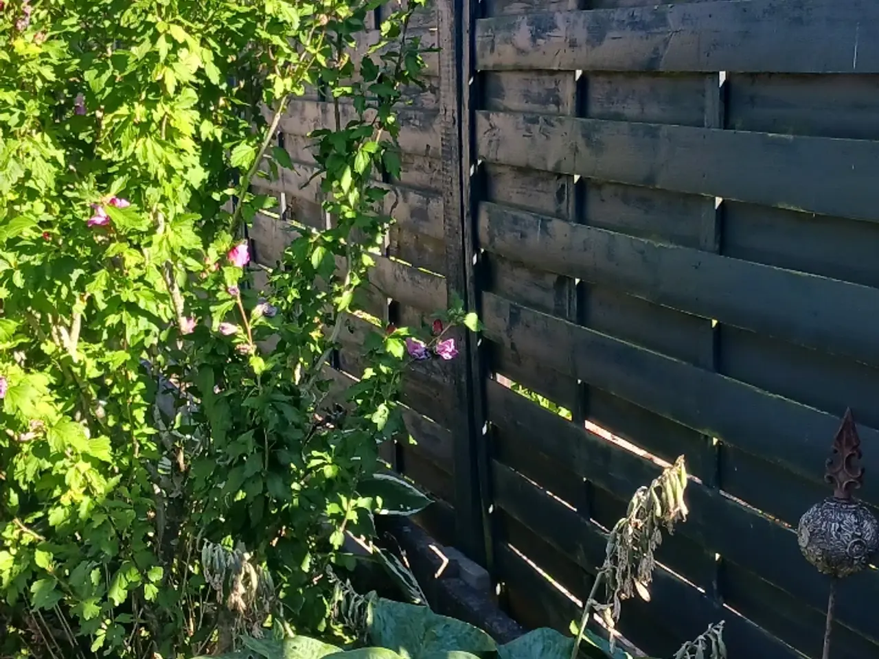 Billede 3 - Gratis hegn 16 stk. inkl. 10 betonstolper