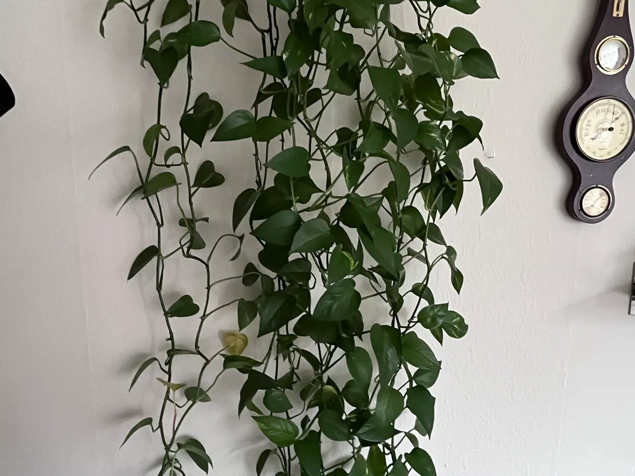 Billede 1 -