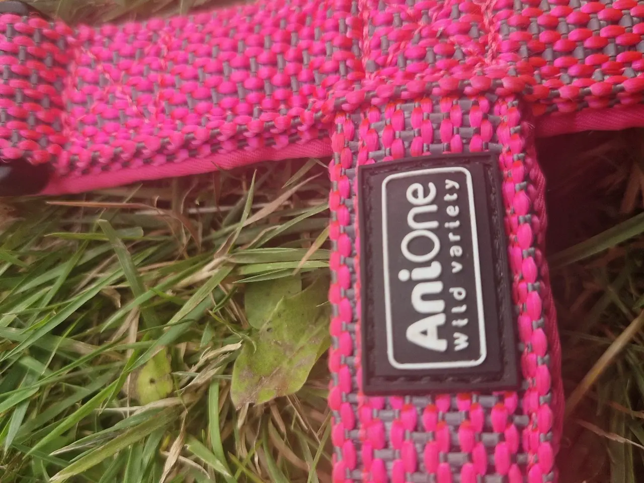Billede 5 - Kropssele i Pink, med refleks. Str M/L