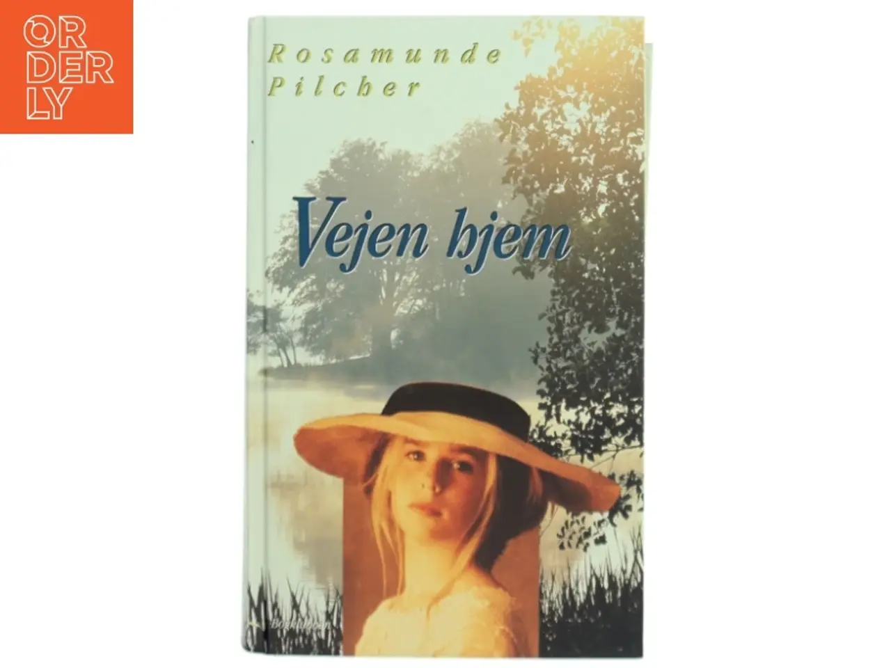 Billede 1 - Vejen hjem af Rosamunde Pilcher (Bog)