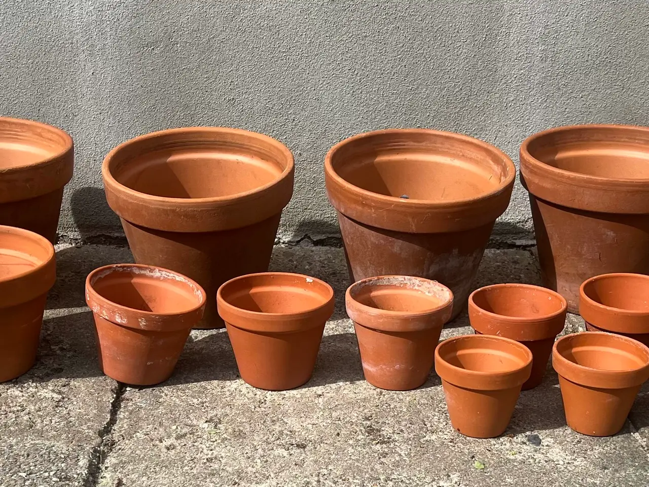 Billede 1 - Terracotta urtepotter i forskellige potter