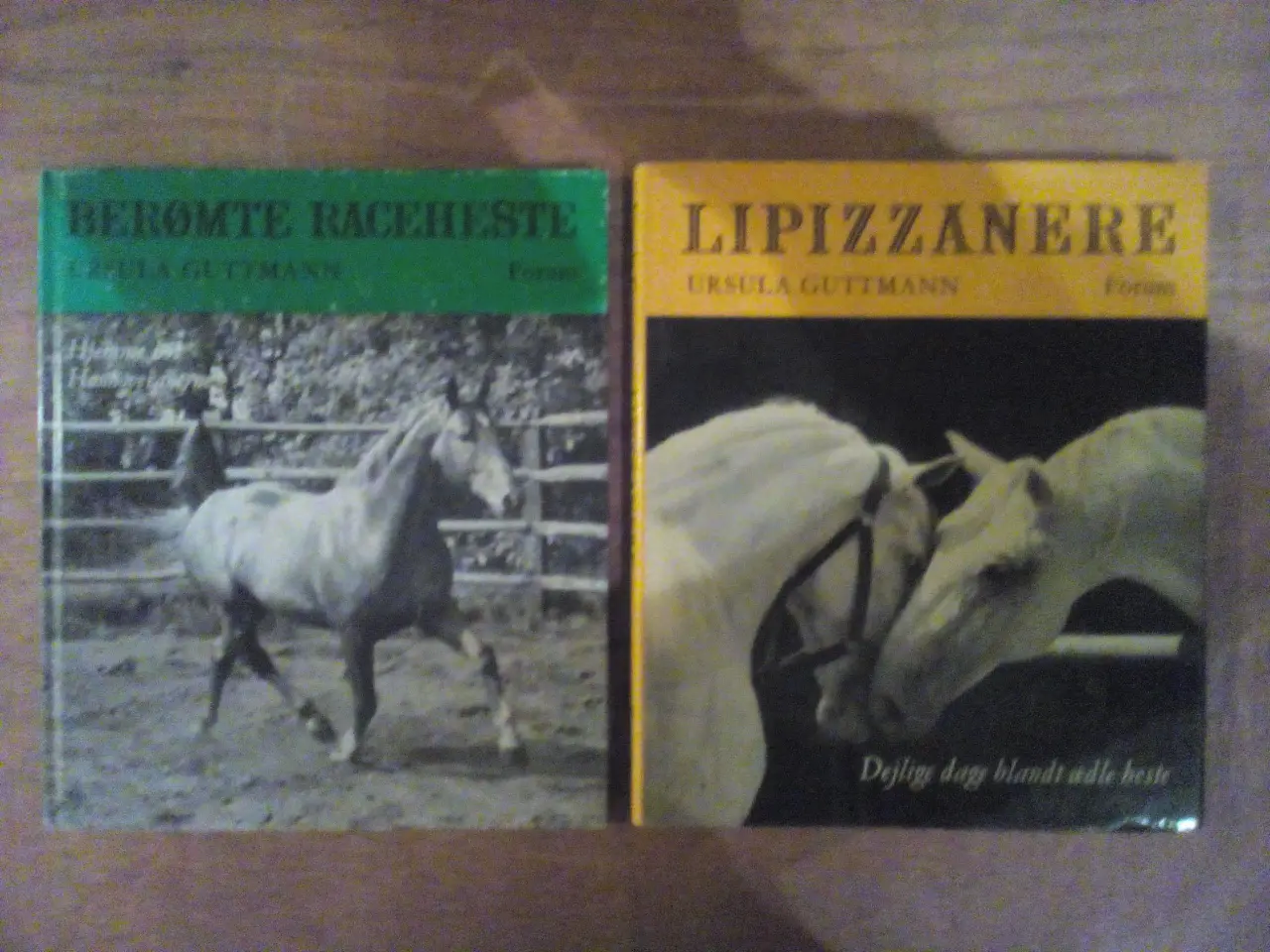 Billede 2 - Diverse hestebøger, priser fra 20 kr.
