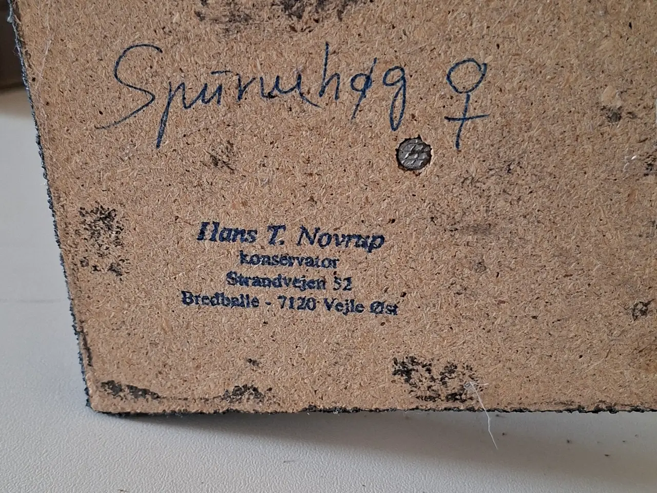 Billede 5 - Udstoppet musvåge og spurvehøg