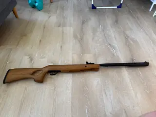 Crosman Valiant Wood