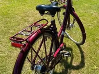 Flot dame - Pigecykel