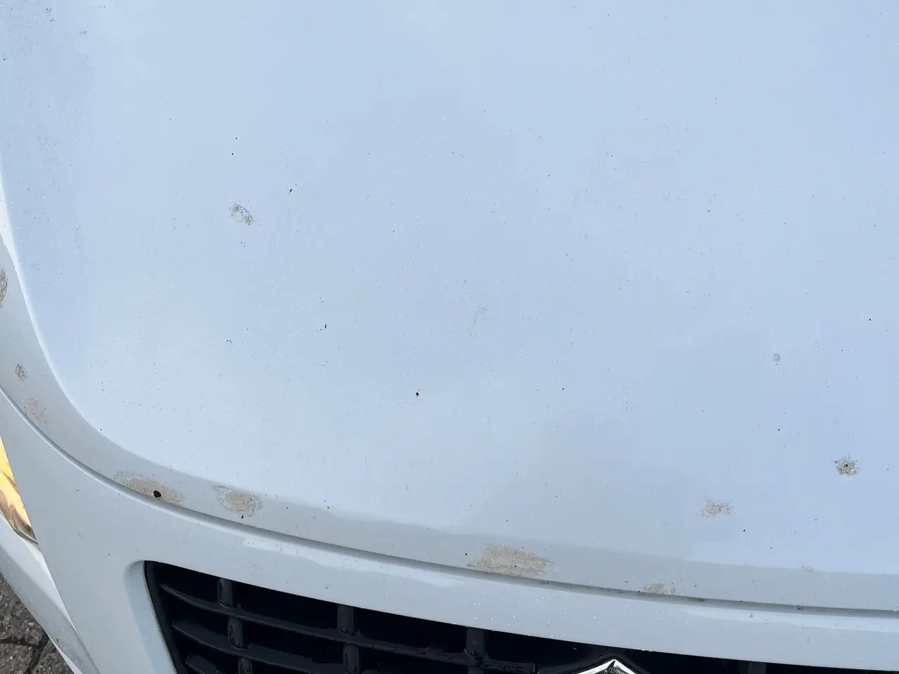 Billede 13 - Suzuki splash