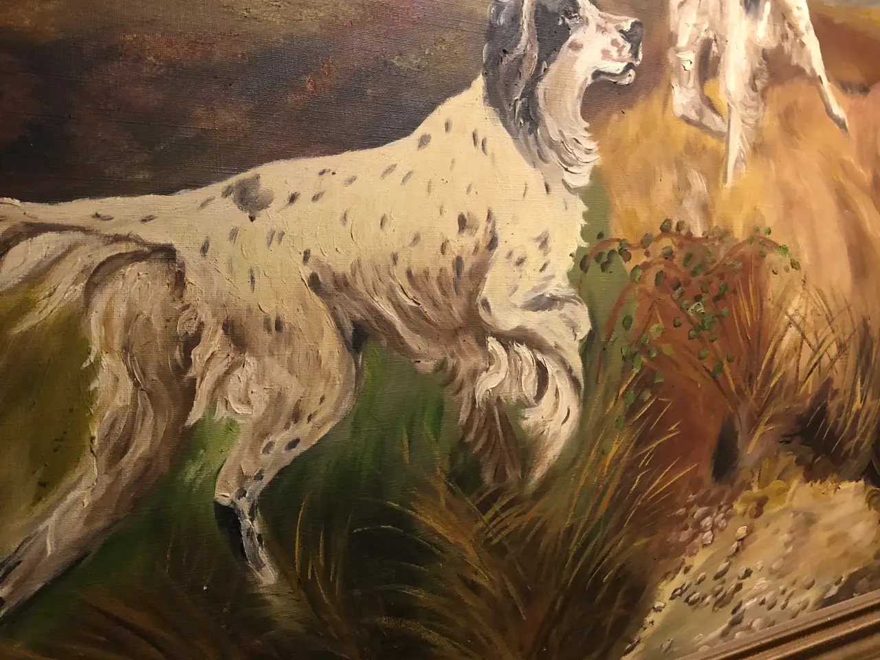 Billede 6 - Engelsk Setter malerier 