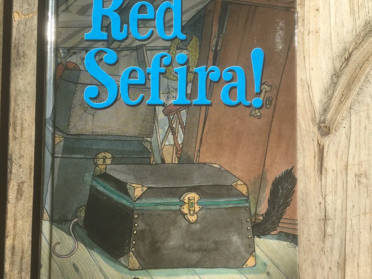 Billede 1 - Red Sefira og Hjælp Septuan, to bind, Katarina Ros