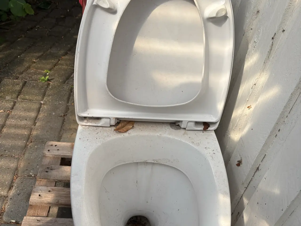 Billede 4 - IFØLGE toilet. 