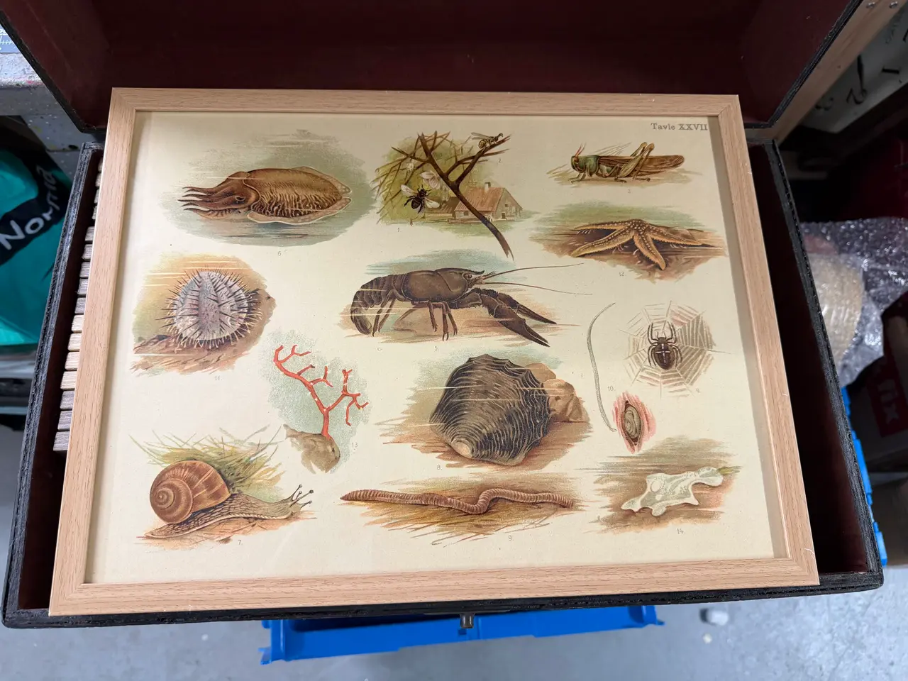 Billede 20 - Tryk i rammer
