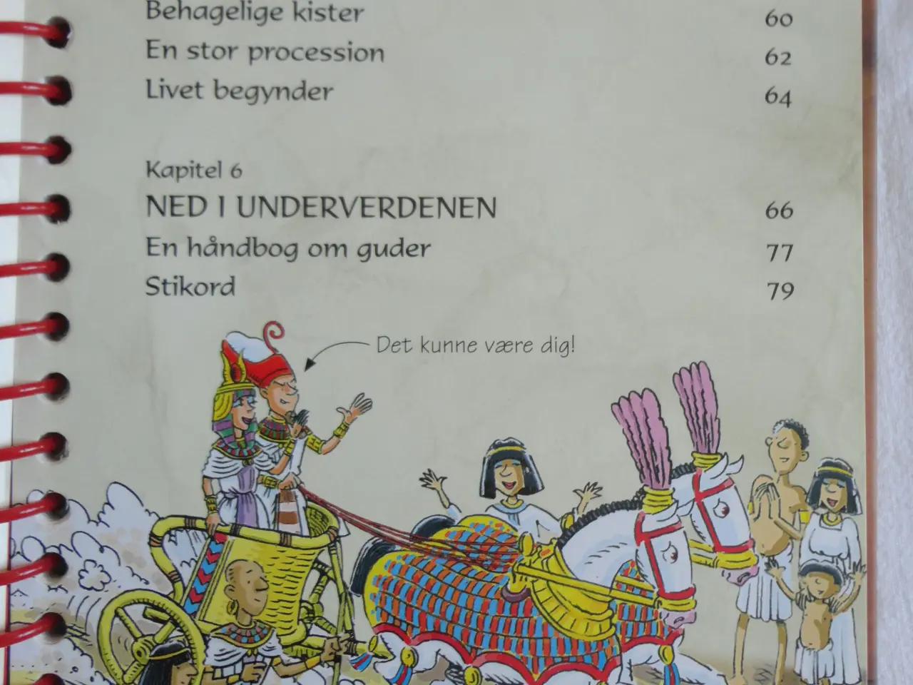 Billede 3 - Farao Håndbogen :