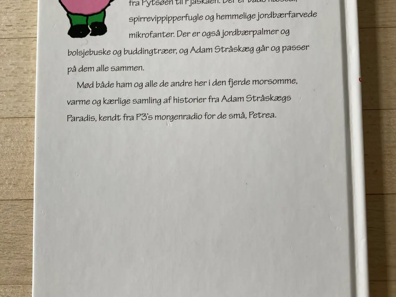 Billede 2 - Den himmelherlige sommerblomstersol og andre histo