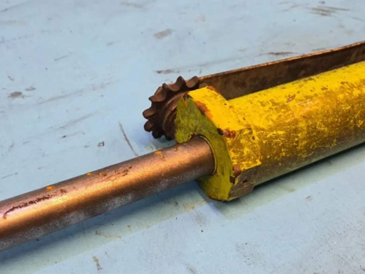 Billede 4 - Claas Jaguar 850 Cylinder 9878592