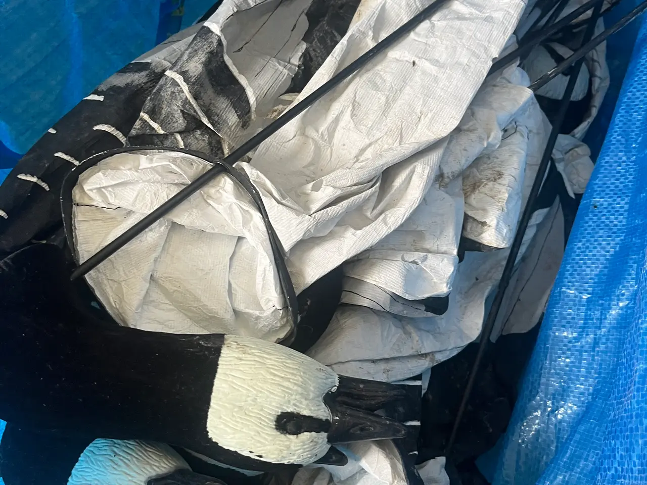 Billede 1 - Bramgåse windsocks fra DKWAI