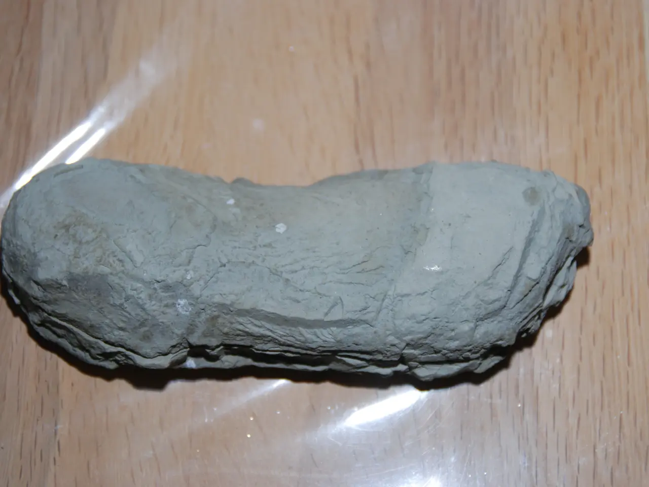 Billede 3 - Fossil