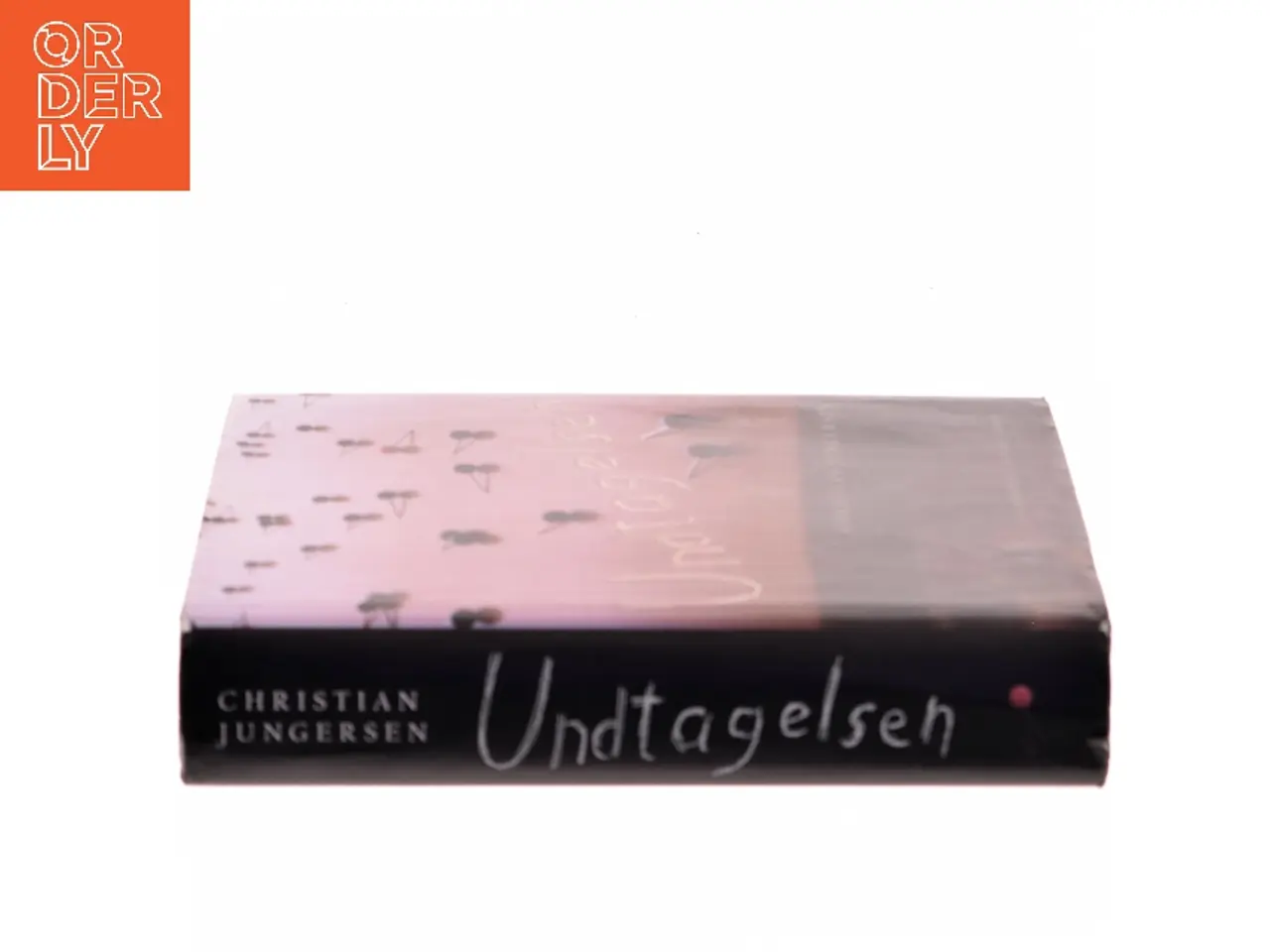 Billede 2 - Undtagelsen : roman af Christian Jungersen (Bog)