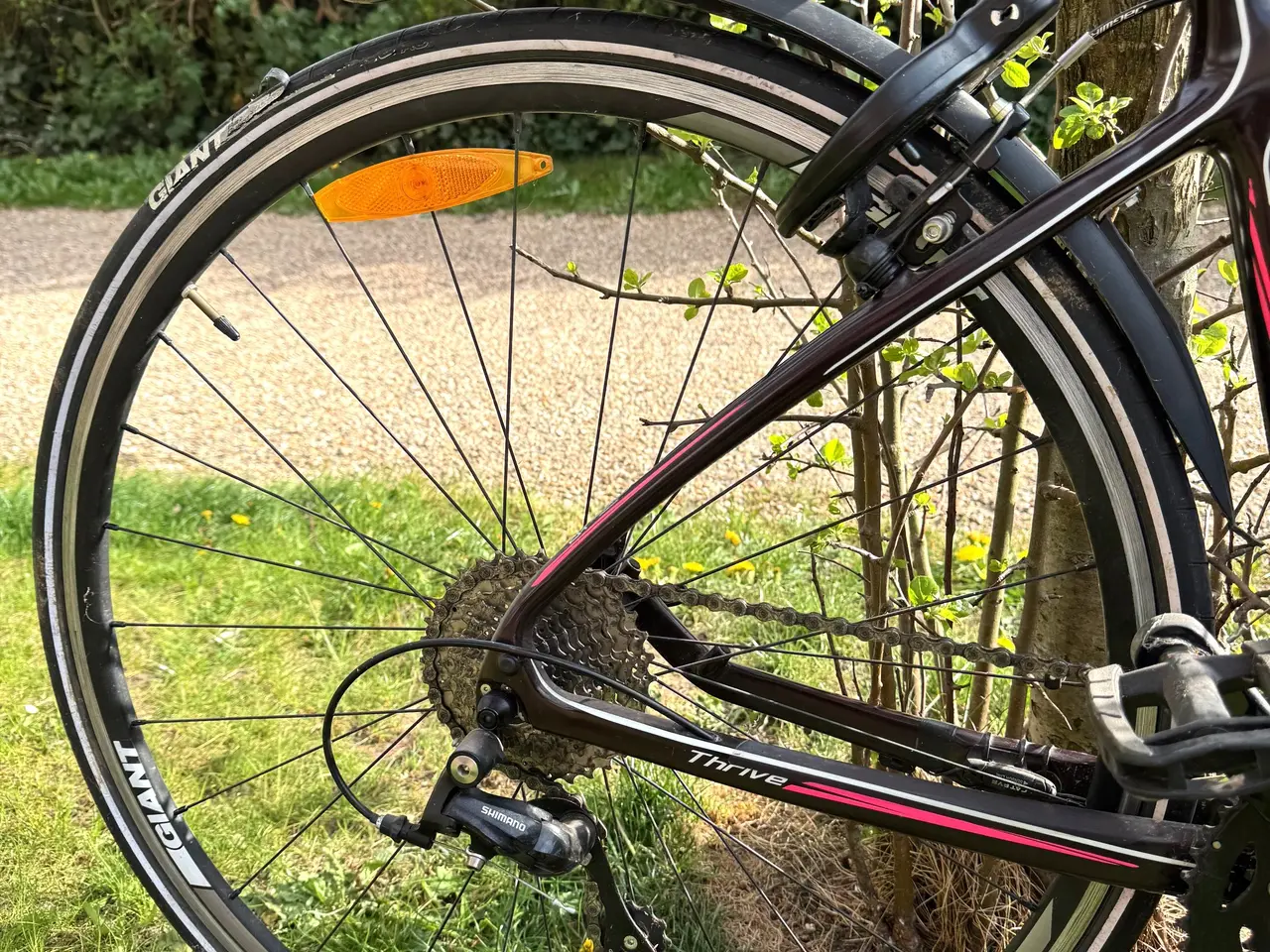 Billede 3 - Giant Thrive Composite - dame