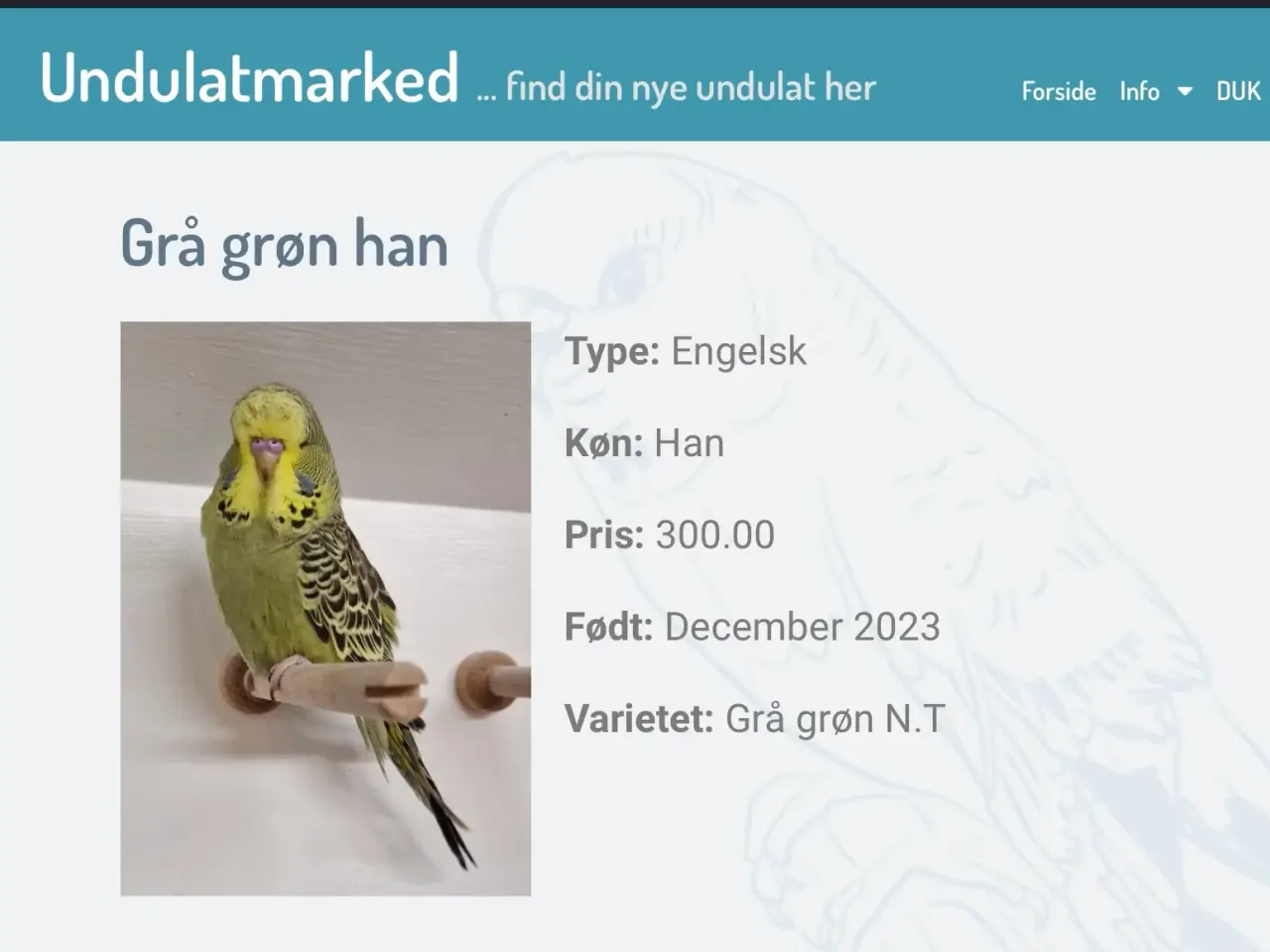 Billede 1 - Undulatmarked